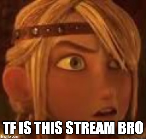 Wtf | TF IS THIS STREAM BRO | image tagged in astrid what | made w/ Imgflip meme maker