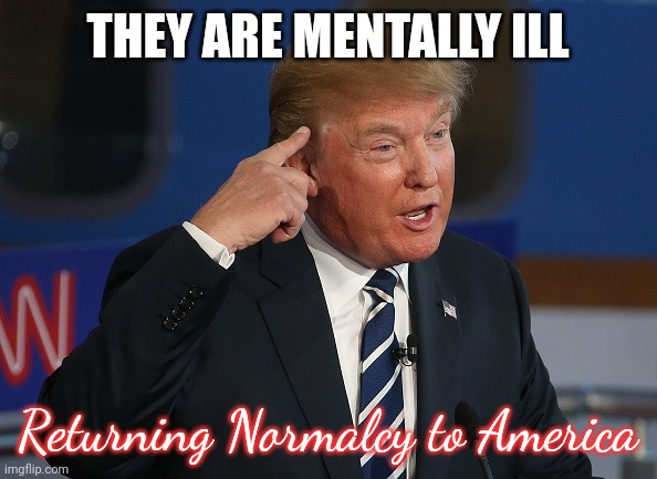 Donald Trump Pointing to His Head | THEY ARE MENTALLY ILL Returning Normalcy to America | image tagged in donald trump pointing to his head | made w/ Imgflip meme maker