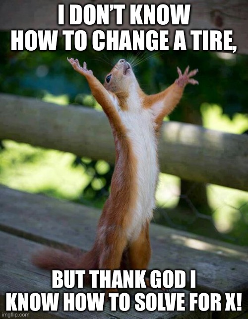 How schools think we are | I DON’T KNOW HOW TO CHANGE A TIRE, BUT THANK GOD I KNOW HOW TO SOLVE FOR X! | image tagged in squirrel thank god a man is here | made w/ Imgflip meme maker