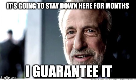 I Guarantee It | IT'S GOING TO STAY DOWN HERE FOR MONTHS I GUARANTEE IT | image tagged in memes,i guarantee it,AdviceAnimals | made w/ Imgflip meme maker