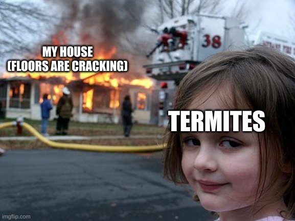 I now sleep upstairs for another million years | MY HOUSE (FLOORS ARE CRACKING); TERMITES | image tagged in memes,disaster girl | made w/ Imgflip meme maker