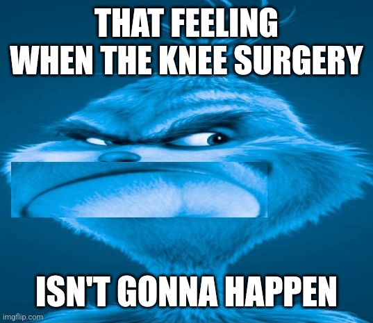 Blue Grinch | THAT FEELING WHEN THE KNEE SURGERY; ISN'T GONNA HAPPEN | image tagged in blue grinch | made w/ Imgflip meme maker