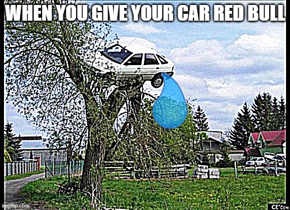 Secure Parking Meme | WHEN YOU GIVE YOUR CAR RED BULL | image tagged in memes,secure parking | made w/ Imgflip meme maker