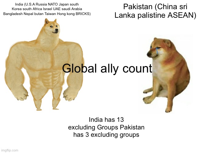 Buff Doge vs. Cheems | India (U.S.A Russia NATO Japan south Korea south Africa Israel UAE saudi Arabia Bangladesh Nepal butan Taiwan Hong kong BRICKS); Pakistan (China sri Lanka palistine ASEAN); Global ally count; India has 13 excluding Groups Pakistan has 3 excluding groups | image tagged in memes,buff doge vs cheems | made w/ Imgflip meme maker