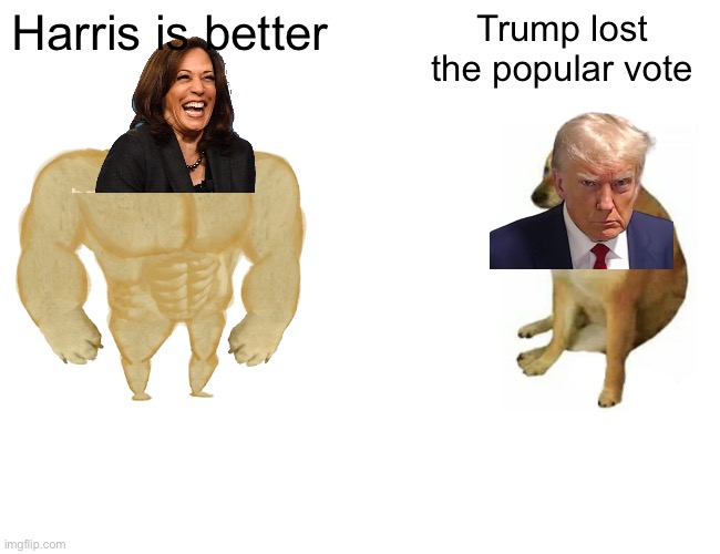 Buff Doge vs. Cheems | Harris is better; Trump lost the popular vote | image tagged in memes,buff doge vs cheems | made w/ Imgflip meme maker