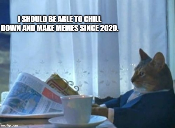 Chill down bro... | I SHOULD BE ABLE TO CHILL DOWN AND MAKE MEMES SINCE 2020. | image tagged in memes,i should buy a boat cat,make memes,memememe | made w/ Imgflip meme maker