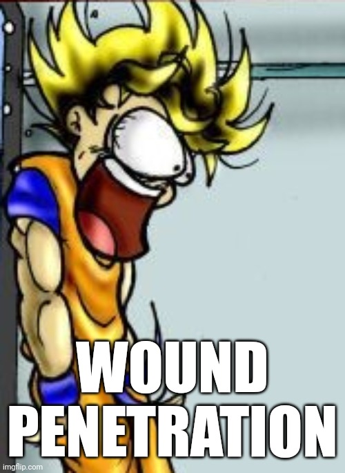 GADZOOKS! | WOUND PENETRATION | image tagged in gadzooks | made w/ Imgflip meme maker