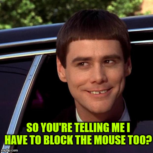 Dumb and Dumber | SO YOU'RE TELLING ME I HAVE TO BLOCK THE MOUSE TOO? | image tagged in dumb and dumber | made w/ Imgflip meme maker