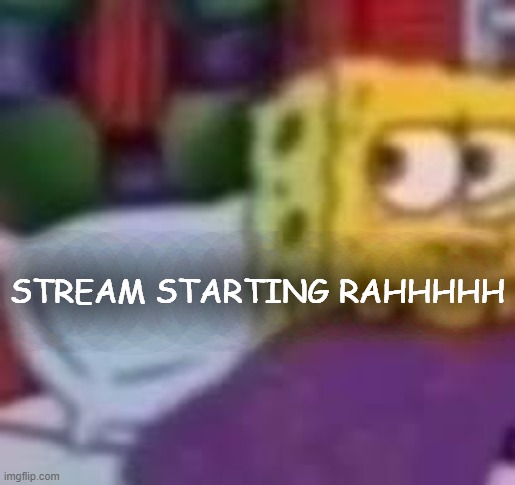 dude. | STREAM STARTING RAHHHHH | image tagged in dude | made w/ Imgflip meme maker