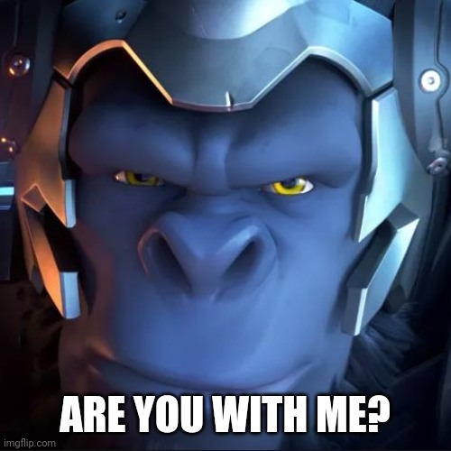 Are you with me? | ARE YOU WITH ME? | image tagged in overwatch | made w/ Imgflip meme maker