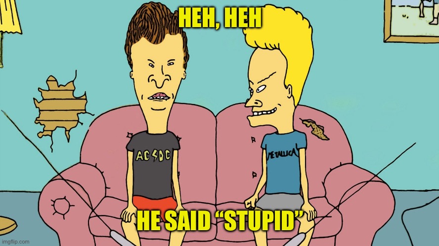 Bevis and Butthead | HEH, HEH HE SAID “STUPID” | image tagged in bevis and butthead | made w/ Imgflip meme maker