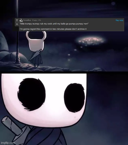 Holy shit (Hollow knight) | image tagged in holy shit hollow knight | made w/ Imgflip meme maker