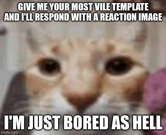 :| | GIVE ME YOUR MOST VILE TEMPLATE AND I'LL RESPOND WITH A REACTION IMAGE; I'M JUST BORED AS HELL | made w/ Imgflip meme maker