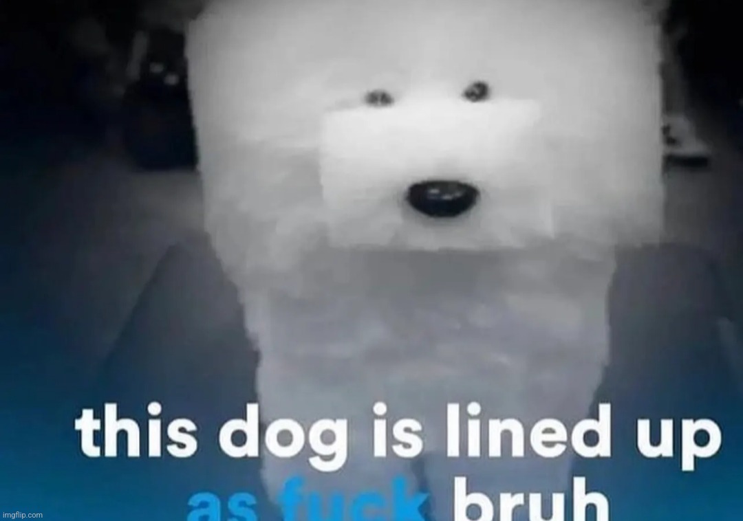 Looks like a minecraft dog | image tagged in minecraft,game,shitpost,dogs,black ops 69,oh wow are you actually reading these tags | made w/ Imgflip meme maker