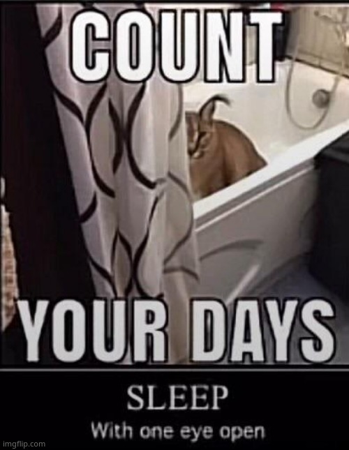 Count your days | image tagged in count your days | made w/ Imgflip meme maker