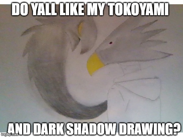 rate my drawing? | DO YALL LIKE MY TOKOYAMI; AND DARK SHADOW DRAWING? | made w/ Imgflip meme maker