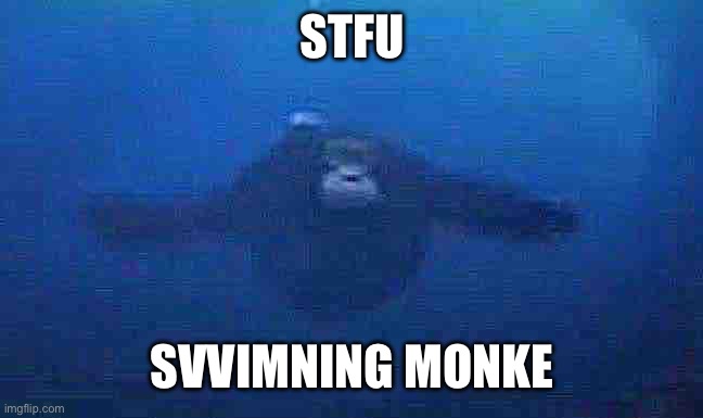 Swimning monke Blank Meme Template