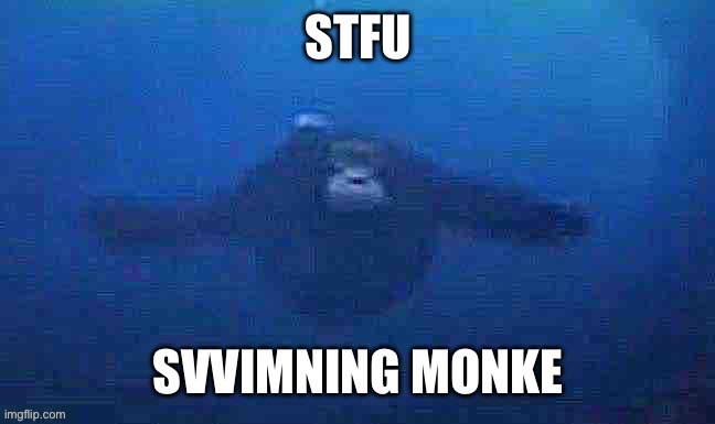 Fun new reaction image or smth | image tagged in swimning monke | made w/ Imgflip meme maker