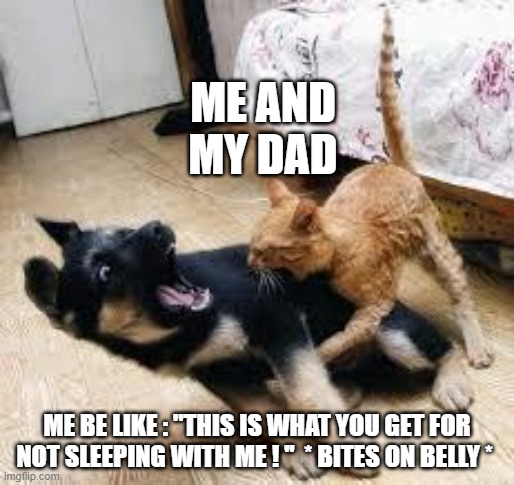 cat | ME AND
MY DAD; ME BE LIKE : ''THIS IS WHAT YOU GET FOR NOT SLEEPING WITH ME ! ''  * BITES ON BELLY * | image tagged in cat dog fight | made w/ Imgflip meme maker