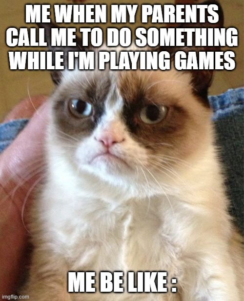 cats | ME WHEN MY PARENTS CALL ME TO DO SOMETHING WHILE I'M PLAYING GAMES; ME BE LIKE : | image tagged in memes,grumpy cat | made w/ Imgflip meme maker