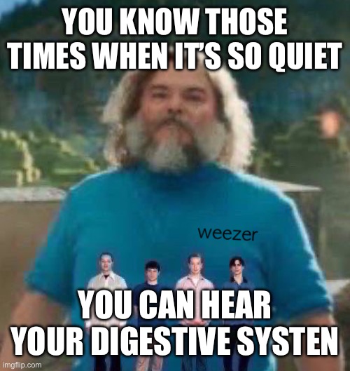 I am Steve weezer | YOU KNOW THOSE TIMES WHEN IT’S SO QUIET; YOU CAN HEAR YOUR DIGESTIVE SYSTEM | image tagged in i am steve weezer | made w/ Imgflip meme maker