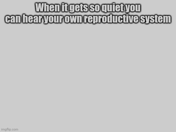 When it gets so quiet you can hear your own reproductive system | made w/ Imgflip meme maker