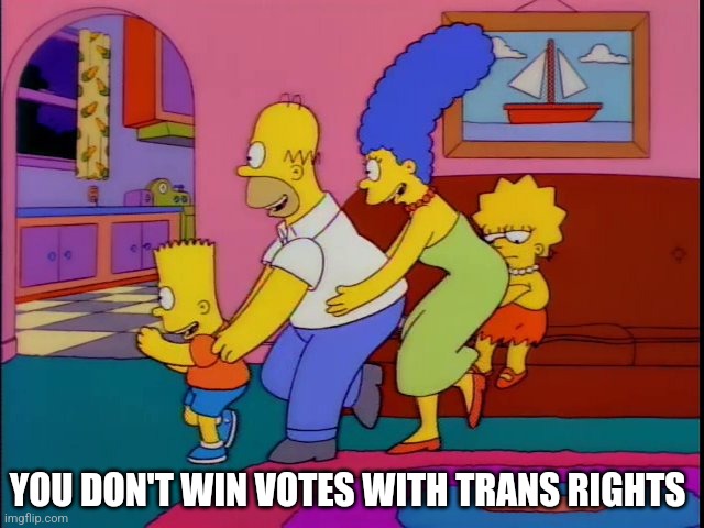 Hey Democrats | YOU DON'T WIN VOTES WITH TRANS RIGHTS | image tagged in you don't win friends with salad,kamala harris,election 2024,the simpsons,usa,trans rights | made w/ Imgflip meme maker