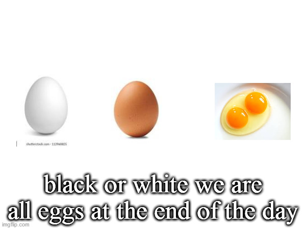 black or white we are all eggs at the end of the day | image tagged in eggs,white,black | made w/ Imgflip meme maker