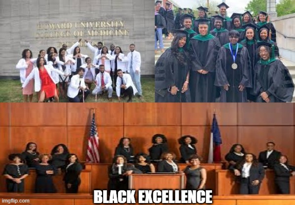 Black Women Black Men Black Excellence | BLACK EXCELLENCE | image tagged in black men,black women,black twitter,education,politics | made w/ Imgflip meme maker