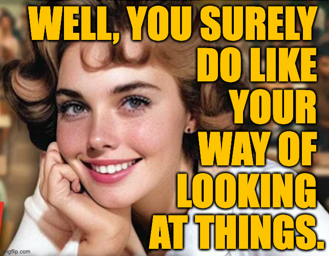 WELL, YOU SURELY 
DO LIKE 
YOUR 
WAY OF 
LOOKING 
AT THINGS. | made w/ Imgflip meme maker