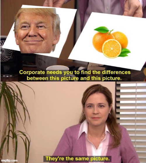 Trump | image tagged in memes,they're the same picture,don't ban me | made w/ Imgflip meme maker