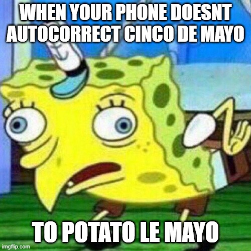 NO THIS DOESNT MAKE SENSE WHY PHONE | WHEN YOUR PHONE DOESNT AUTOCORRECT CINCO DE MAYO; TO POTATO LE MAYO | image tagged in triggerpaul,cinco de mayo,autocorrect | made w/ Imgflip meme maker