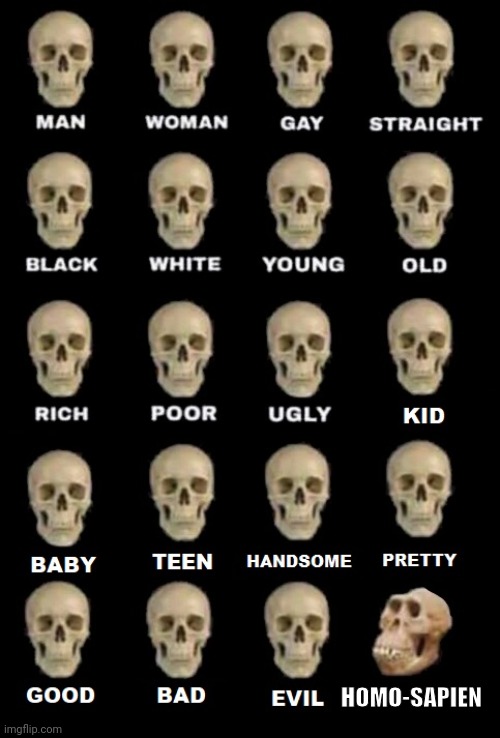 idiot skull extended | HOMO-SAPIEN | image tagged in idiot skull extended,science,paleontology | made w/ Imgflip meme maker