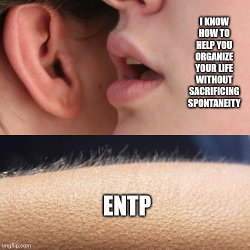 ENTP Arousal | I KNOW HOW TO HELP YOU ORGANIZE YOUR LIFE WITHOUT SACRIFICING SPONTANEITY; ENTP | image tagged in whisper and goosebumps,entp,mbti,personality,myers briggs,arousal | made w/ Imgflip meme maker