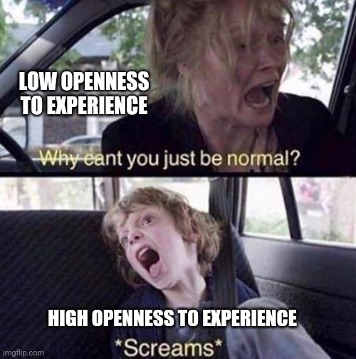 Openness to Experience | LOW OPENNESS TO EXPERIENCE; HIGH OPENNESS TO EXPERIENCE | image tagged in why can't you just be normal,openness to experience,personality,big 5,openness,psychology | made w/ Imgflip meme maker