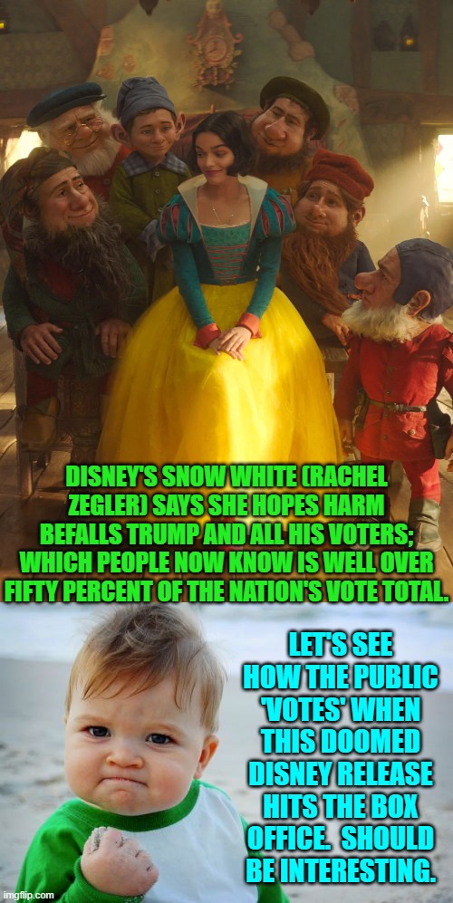 So, Disney Board of Directors STILL not tired of losing money to WOKEism? | DISNEY'S SNOW WHITE (RACHEL ZEGLER) SAYS SHE HOPES HARM BEFALLS TRUMP AND ALL HIS VOTERS; WHICH PEOPLE NOW KNOW IS WELL OVER FIFTY PERCENT OF THE NATION'S VOTE TOTAL. LET'S SEE HOW THE PUBLIC 'VOTES' WHEN THIS DOOMED DISNEY RELEASE HITS THE BOX OFFICE.  SHOULD BE INTERESTING. | image tagged in success kid original | made w/ Imgflip meme maker