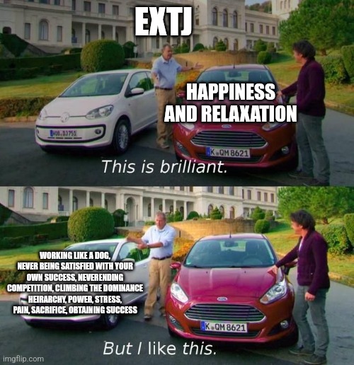 Sacrifice of Power | EXTJ; HAPPINESS AND RELAXATION; WORKING LIKE A DOG, NEVER BEING SATISFIED WITH YOUR OWN SUCCESS, NEVERENDING COMPETITION, CLIMBING THE DOMINANCE HEIRARCHY, POWER, STRESS, PAIN, SACRIFICE, OBTAINING SUCCESS | image tagged in this is brilliant but i like this,entj,estj,mbti,myers briggs,success | made w/ Imgflip meme maker