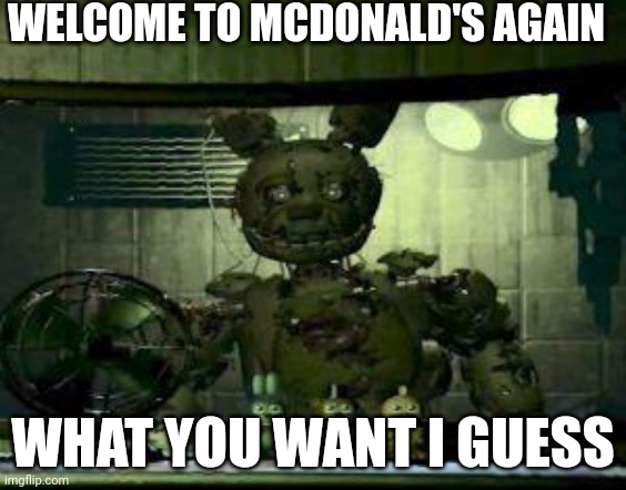 William Afton in McDonald's job part 4 | WELCOME TO MCDONALD'S AGAIN; WHAT YOU WANT I GUESS | image tagged in fnaf springtrap in window | made w/ Imgflip meme maker