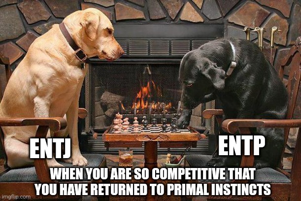 ENTX Rivalry | ENTP; ENTJ; WHEN YOU ARE SO COMPETITIVE THAT YOU HAVE RETURNED TO PRIMAL INSTINCTS | image tagged in dogs playing chess,rivals,entp,entj,mbti,myers briggs | made w/ Imgflip meme maker