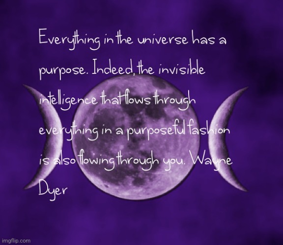 Everything has a purpose, flowing through you. | image tagged in everything has a purpose flowing through you,purpose,intelligence,quote,truth | made w/ Imgflip meme maker