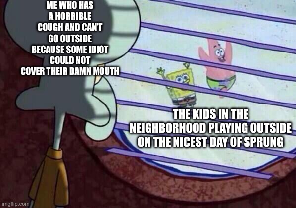 Squidward window | ME WHO HAS A HORRIBLE COUGH AND CAN’T GO OUTSIDE BECAUSE SOME IDIOT COULD NOT COVER THEIR DAMN MOUTH; THE KIDS IN THE NEIGHBORHOOD PLAYING OUTSIDE ON THE NICEST DAY OF SPRUNG | image tagged in squidward window | made w/ Imgflip meme maker