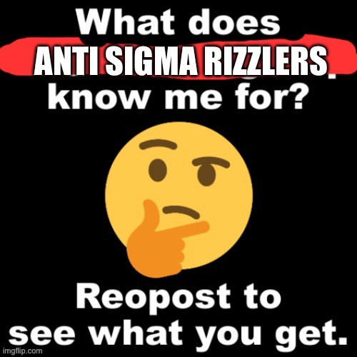 what does x stream know me for | ANTI SIGMA RIZZLERS | image tagged in what does x stream know me for | made w/ Imgflip meme maker