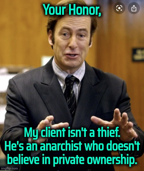 This is not a satire. I repeat. Ain't no satire. | Your Honor, My client isn't a thief. He's an anarchist who doesn't believe in private ownership. | image tagged in better call saul,anarchism,socialism,capitalism | made w/ Imgflip meme maker