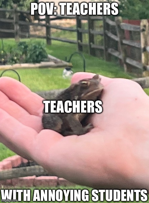 Toad | POV: TEACHERS; TEACHERS; WITH ANNOYING STUDENTS | image tagged in irritated toad | made w/ Imgflip meme maker