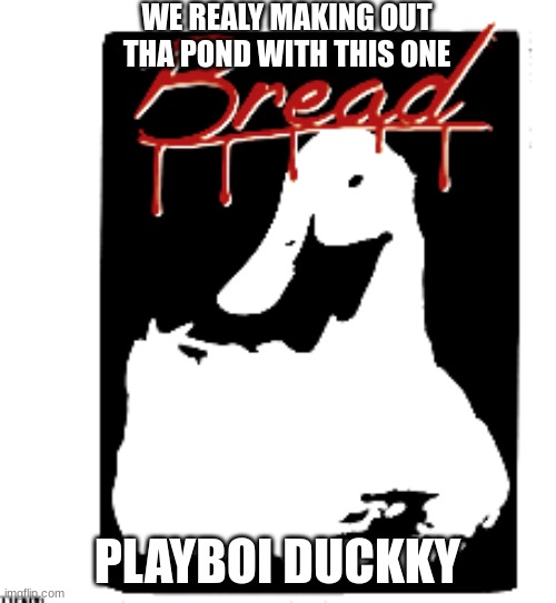 Sorry stole this from flaminhotcheeto | WE REALY MAKING OUT THA POND WITH THIS ONE; PLAYBOI DUCKKY | made w/ Imgflip meme maker