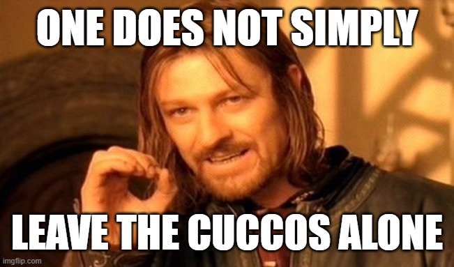 Me in TotK | ONE DOES NOT SIMPLY; LEAVE THE CUCCOS ALONE | image tagged in memes,one does not simply | made w/ Imgflip meme maker