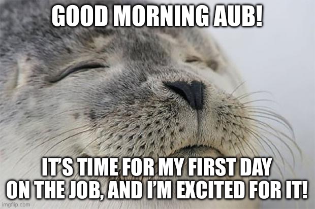 Good morning! | GOOD MORNING AUB! IT’S TIME FOR MY FIRST DAY ON THE JOB, AND I’M EXCITED FOR IT! | image tagged in memes,satisfied seal | made w/ Imgflip meme maker