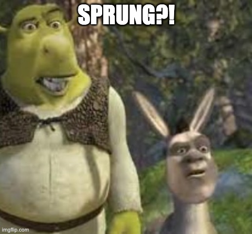 shronkey | SPRUNG?! | image tagged in shronkey | made w/ Imgflip meme maker