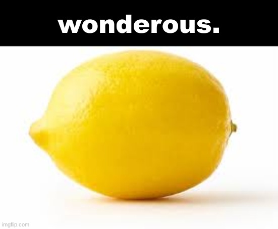 wonderous. | wonderous. | made w/ Imgflip meme maker