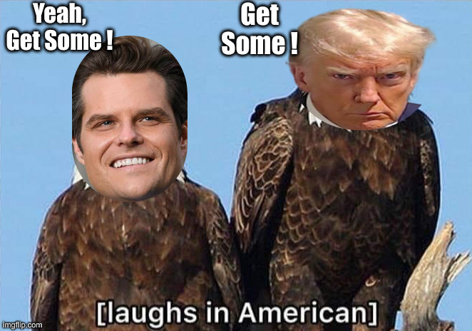 The Law ! | Get Some ! Yeah, Get Some ! | image tagged in political meme,politics,funny memes,funny,donald trump,matt gaetz | made w/ Imgflip meme maker